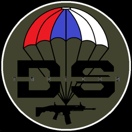 Logo D&S Tactics