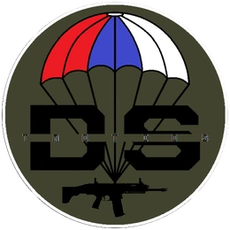 Logo D&S Tactics
