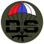 Logo D&S Tactics